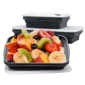 Bento Lunch Box New, 2 pcs Collapsible Silicone Containers Meal Prep, With Lids